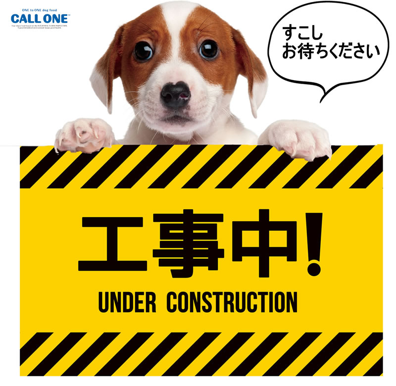 工事中